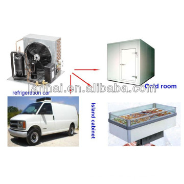 Gefrierfach kondensierenden Einheit Kühllagerung 50Hz Einfrieren abnehmen Maschine für Kühlsystem